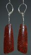 Red Agatized Dinosaur Bone Earrings #5252-4